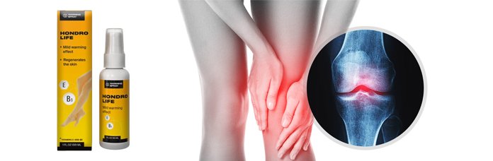 Hondrolife Apteke: Pomoc w Budowaniu Masy Mięśniowej in Poland