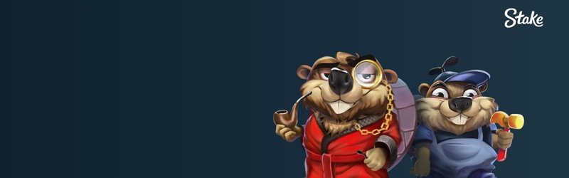 Un aperçu de stake casino avis